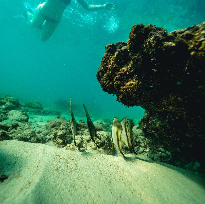 Blue Marlin Bali-勒吉安必去景点