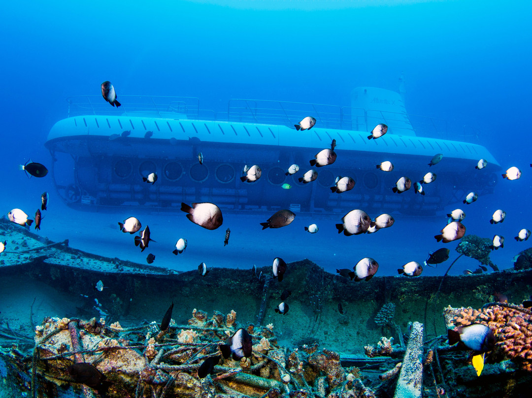 Atlantis Submarines Kona景点图片