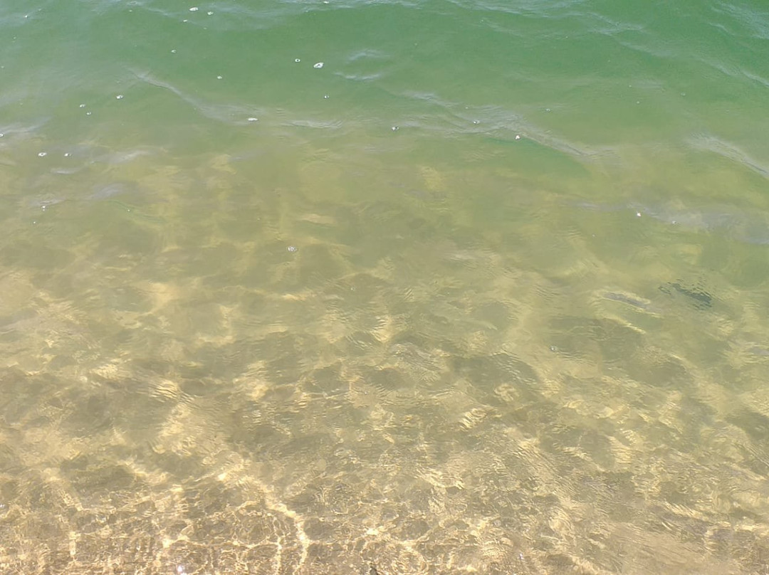 Casa Hospedes Celeste主图