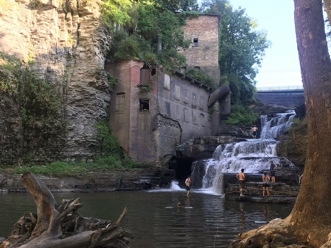 Mulholland Wildflower Preserve-伊萨卡必去景点