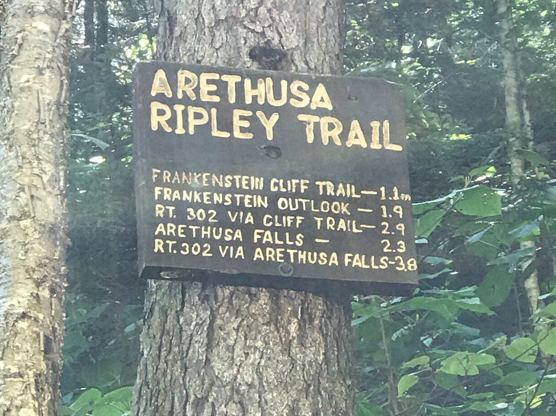 Ripley Falls景点图片