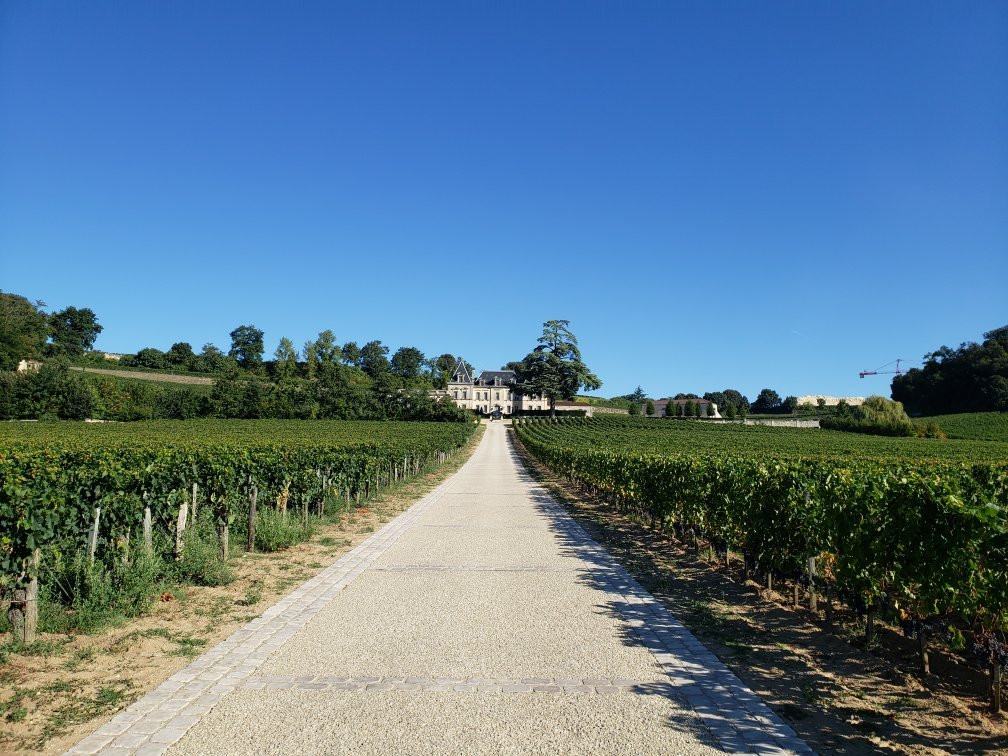 Chateau Fonplegade景点图片