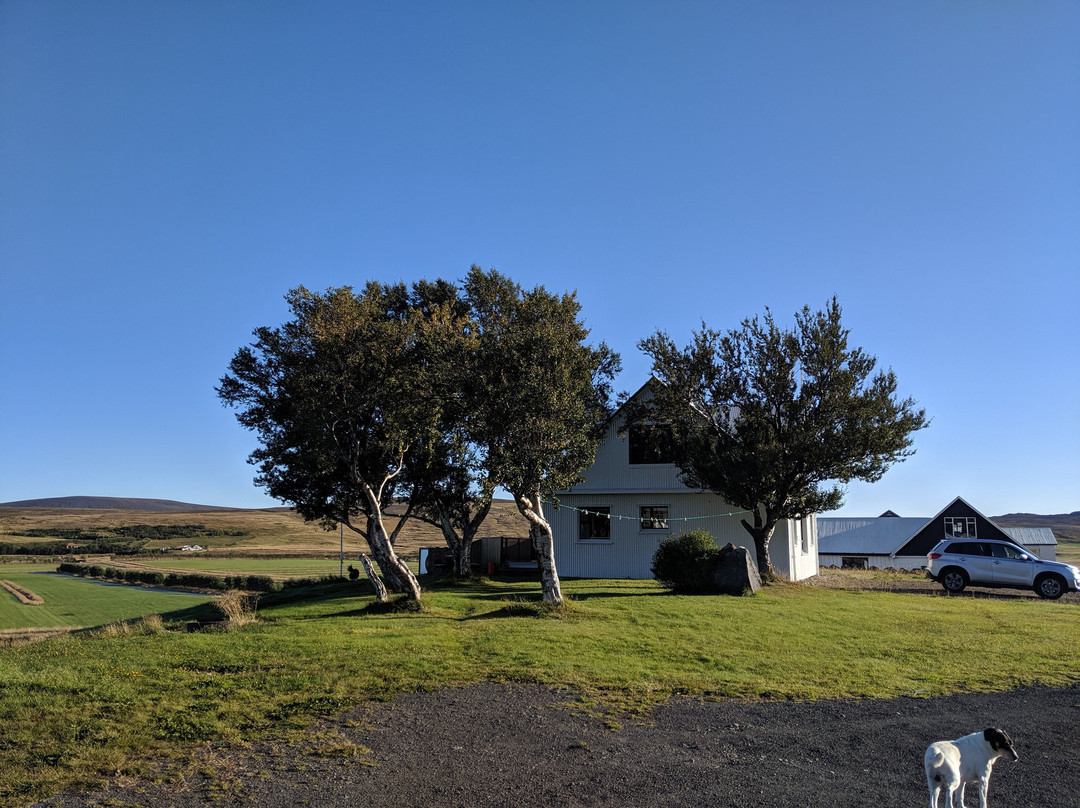 Steindorsstadir Guesthouse主图