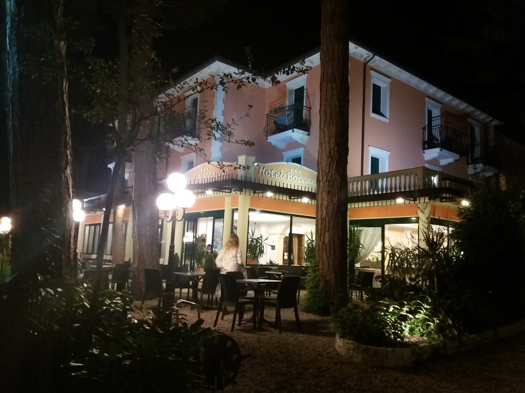 Hotel Boccaccio主图