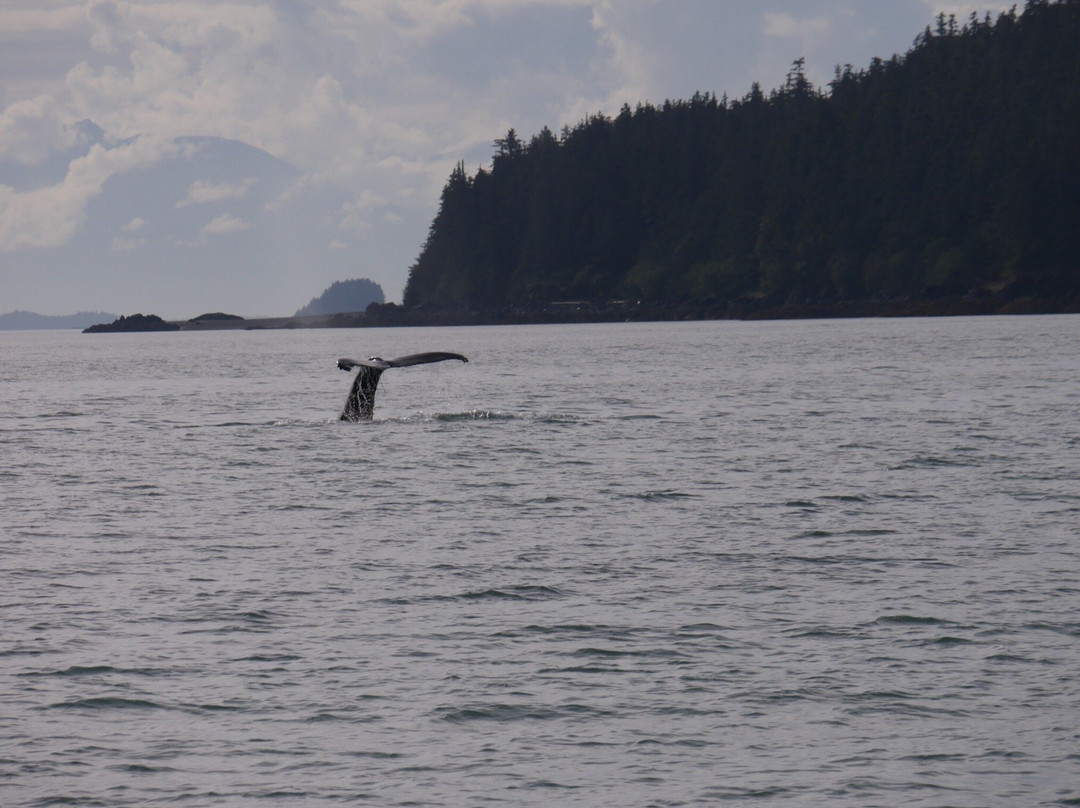 Haines-Skagway Fast Ferry-海恩斯必去景点