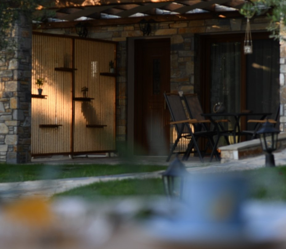 Elia Nikitis旅游攻略图片