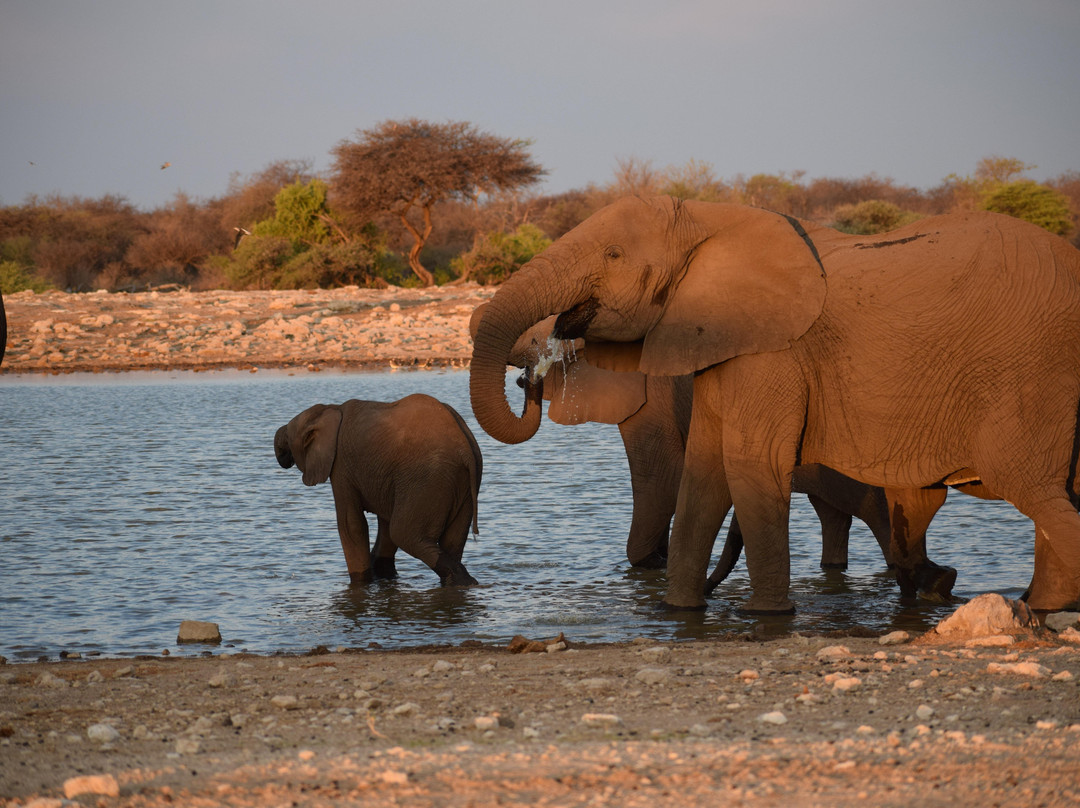 San Africa Holidays and Tours-温德和克必去景点