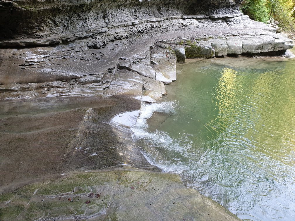 Centro Visita Premilcuore Parco Foreste Casentinesi景点图片