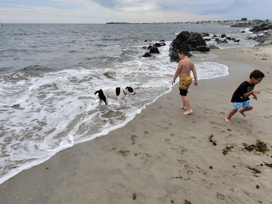 Seascape Inn at Plaice Cove主图