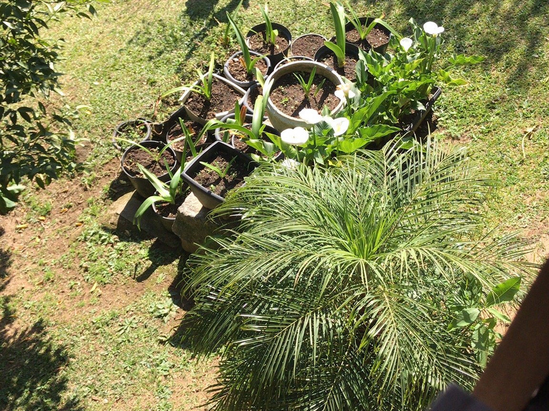 Pousada Aguas Claras主图