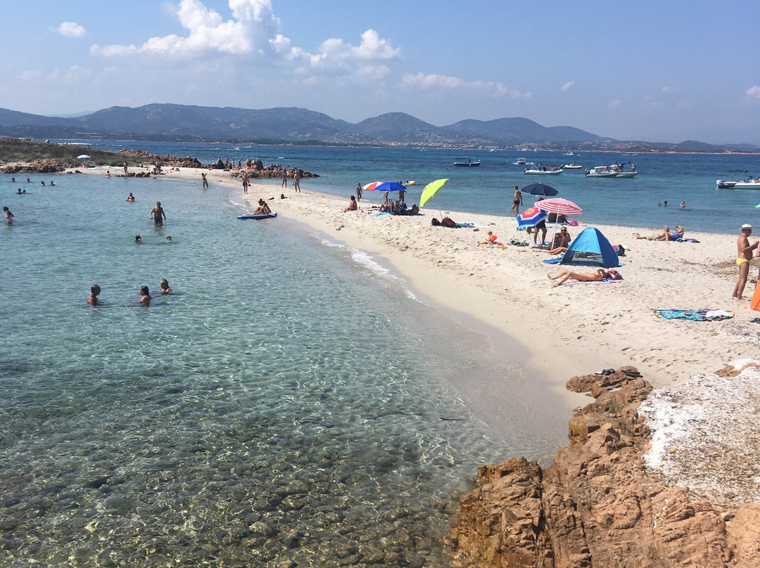 L'Area Naturale Marina Protetta Tavolara - Punta Coda Cavallo-奥尔比亚必去景点