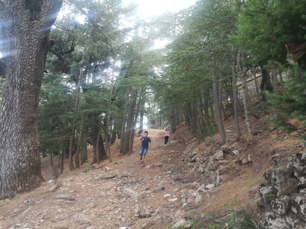 Djurdjura National Park景点图片