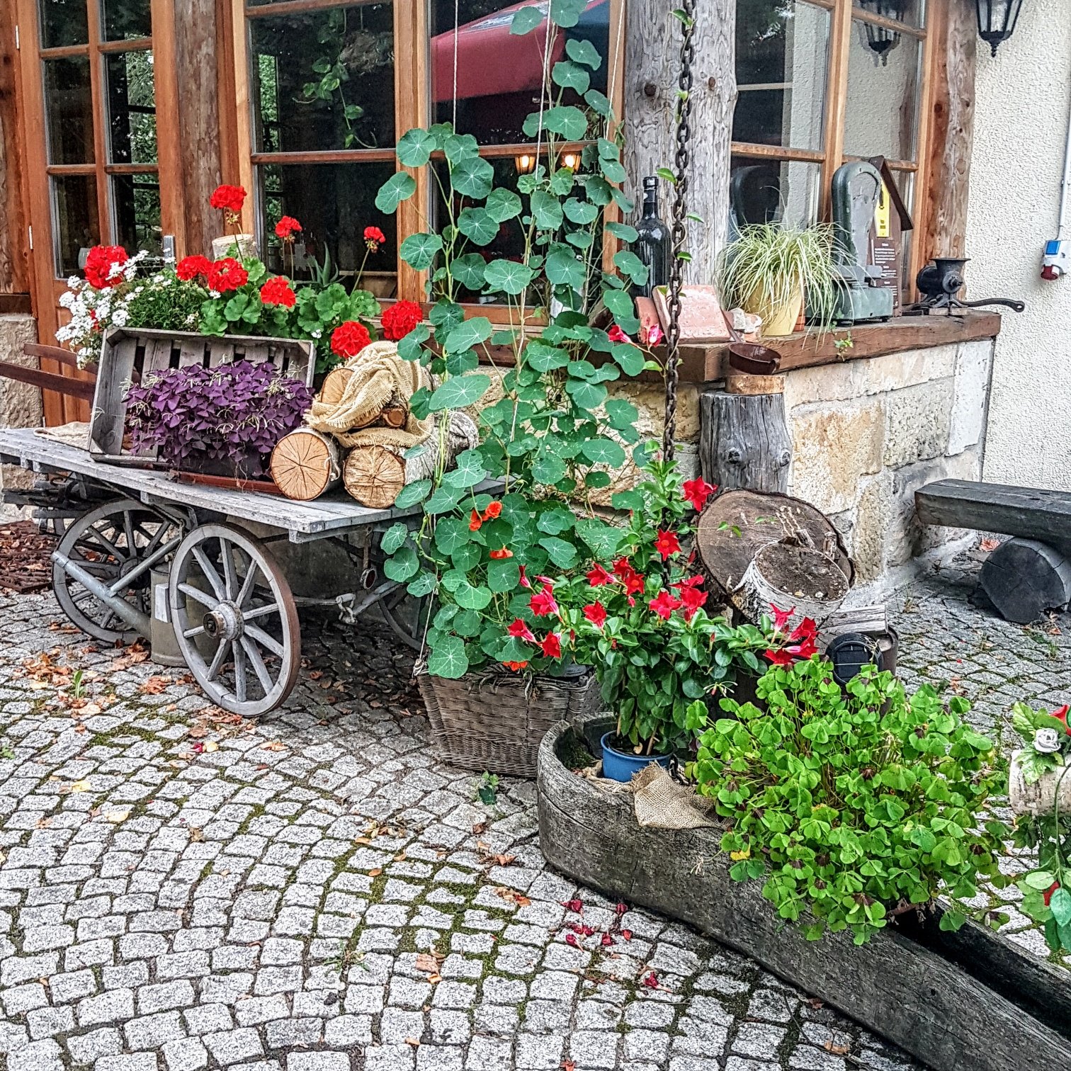 Berggasthof Koitsche-portrait