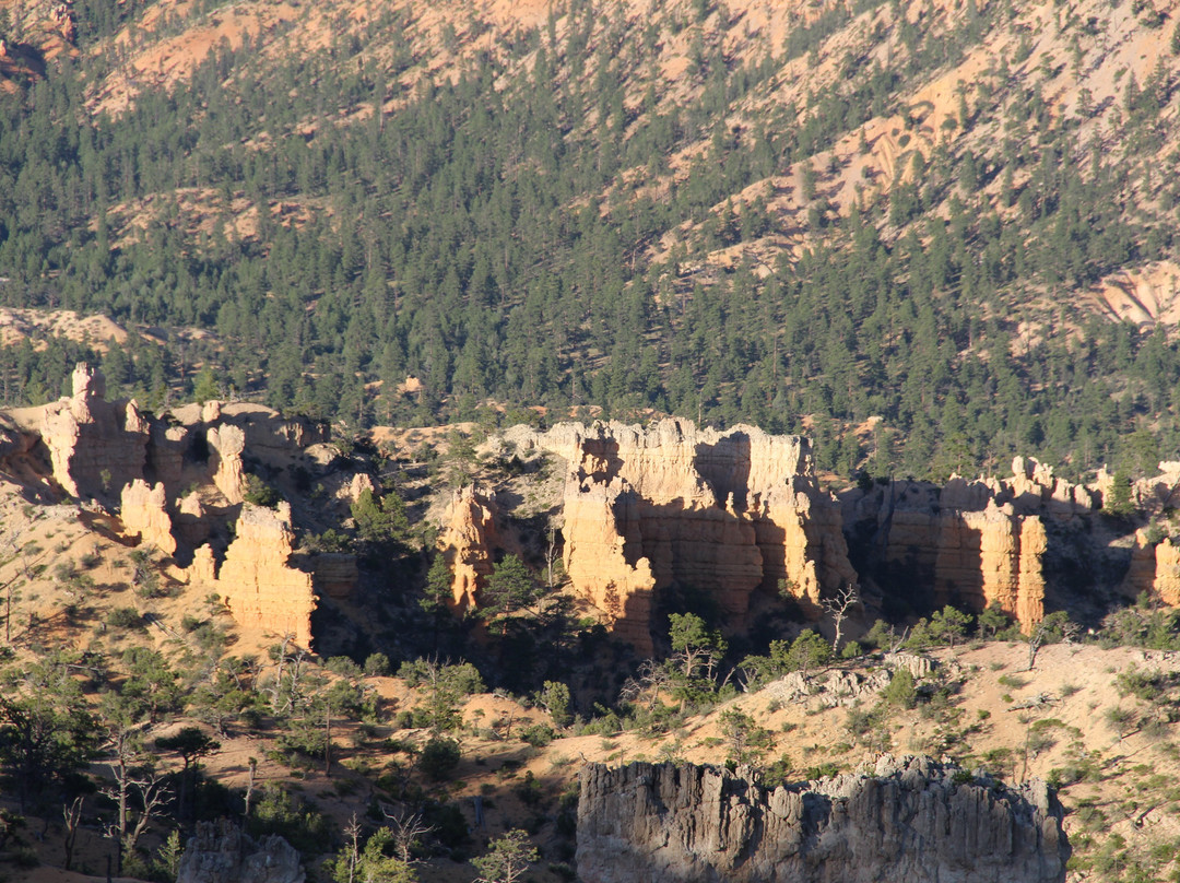 Ruby's ATV Tours-布莱斯峡谷城必去景点