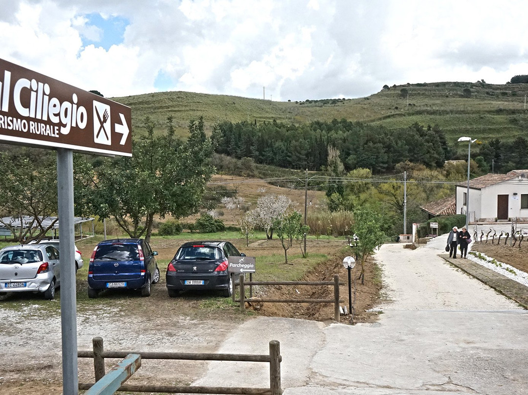 Salemi餐馆和美食-Al Ciliegio Turismo rurale