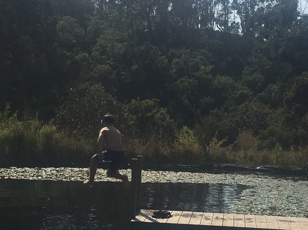 玛克希玛 - 蒙特斯费雷洛斯主图