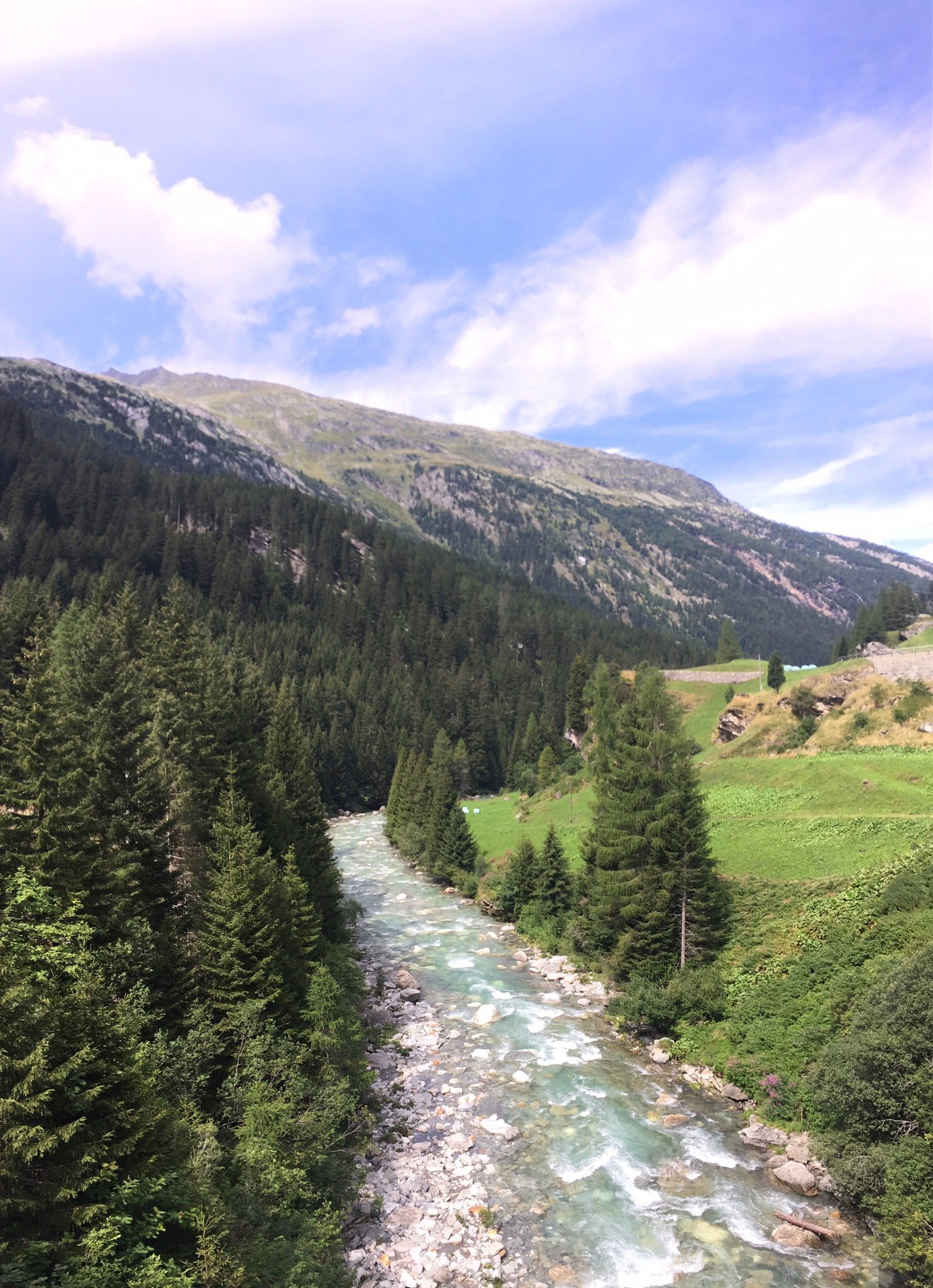 Hotel & Restaurant Alpenrose-官方