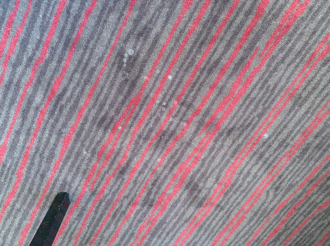 Achat Hotel Lüneburger Heide主图