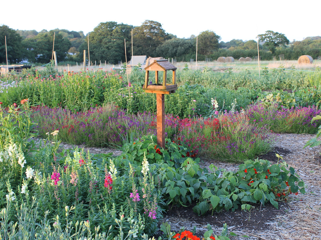 Trigon Farm