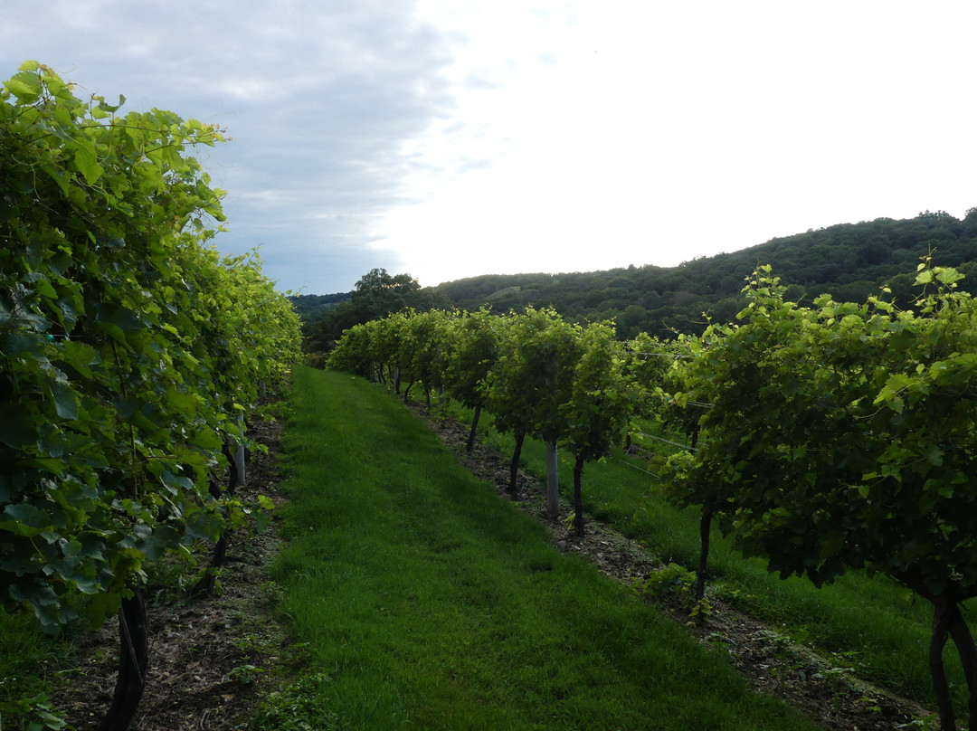 Park Farm Winery景点图片