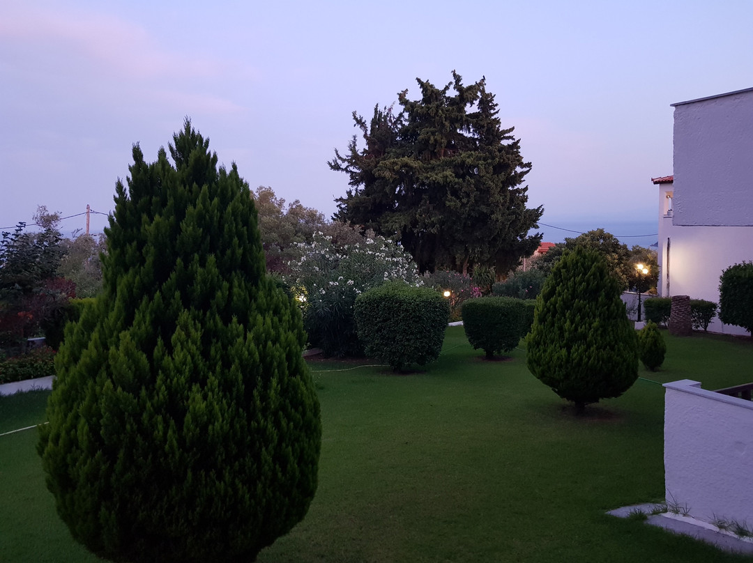 Paradise Hotel主图