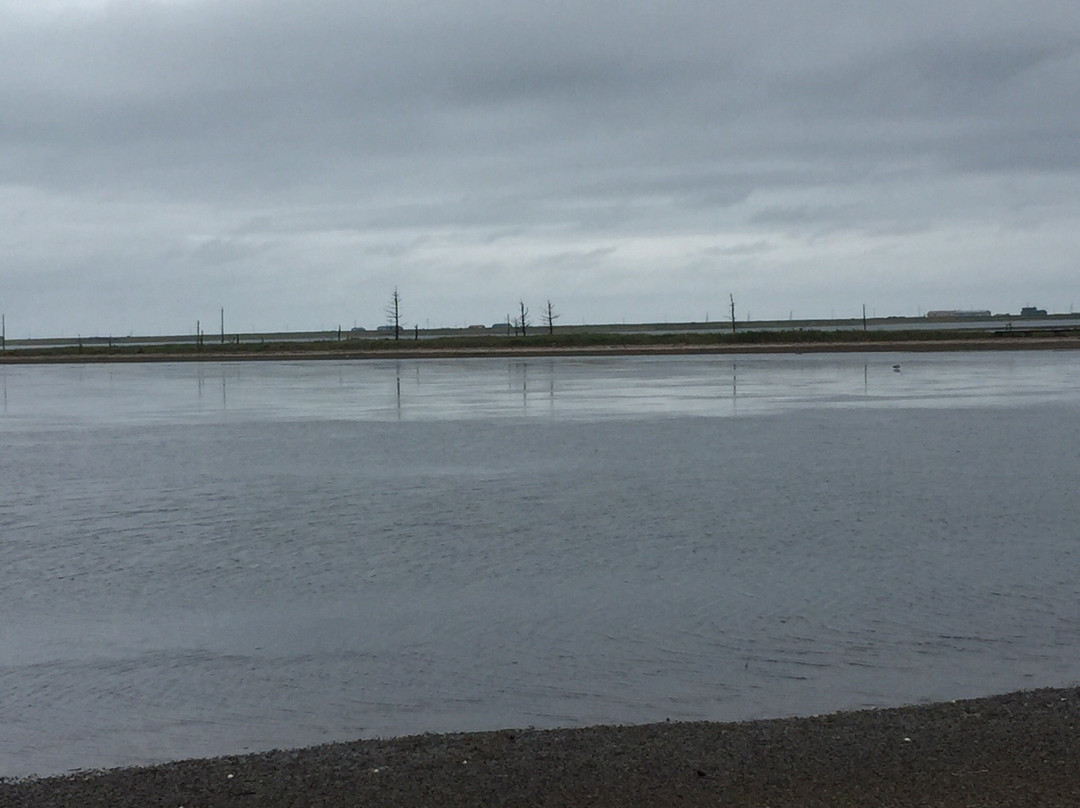 Todowara-别海町必去景点