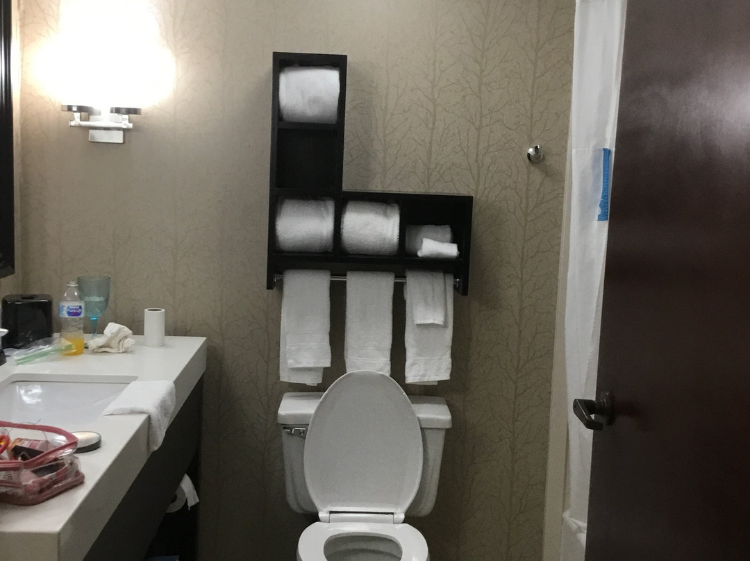 安德森希尔顿恒庭酒店主图