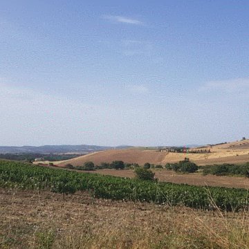 Agriturismo Fattoria Etrusca-官方