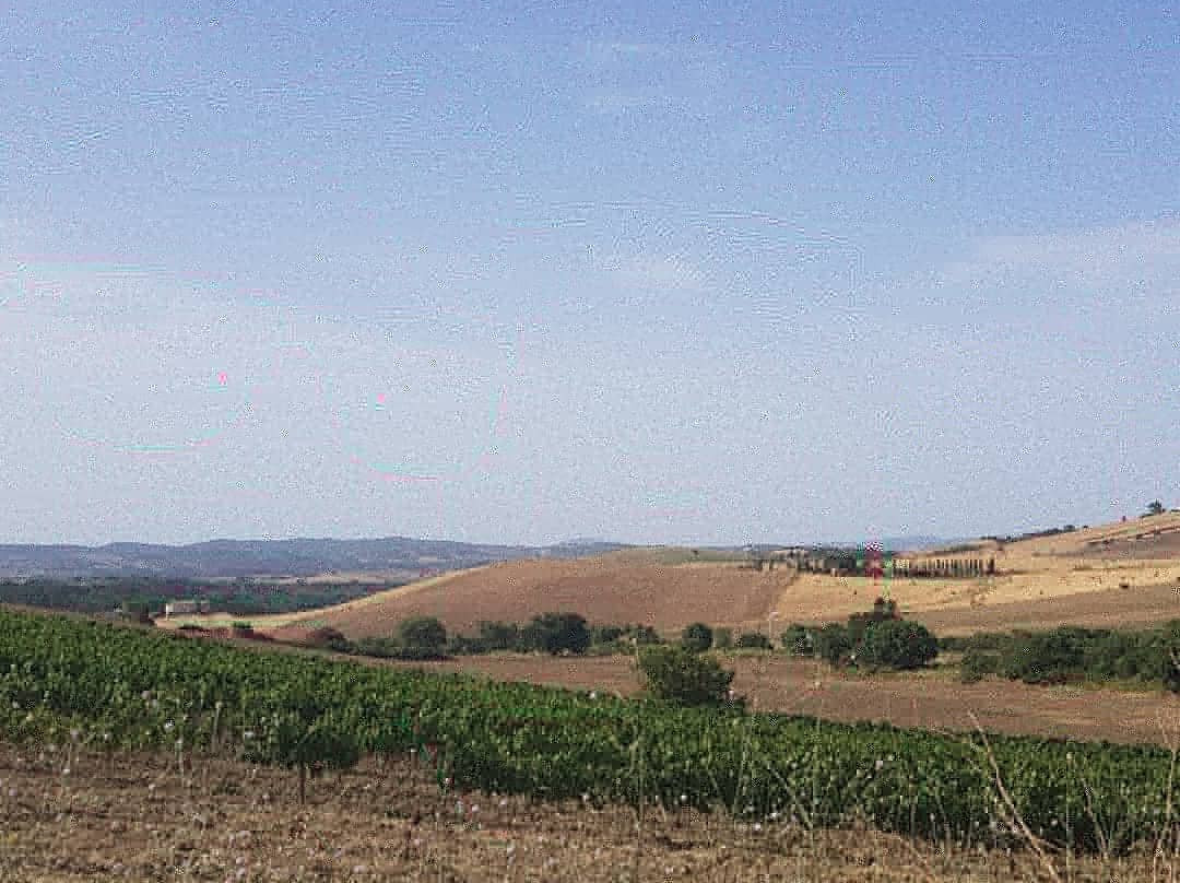 Agriturismo Fattoria Etrusca主图