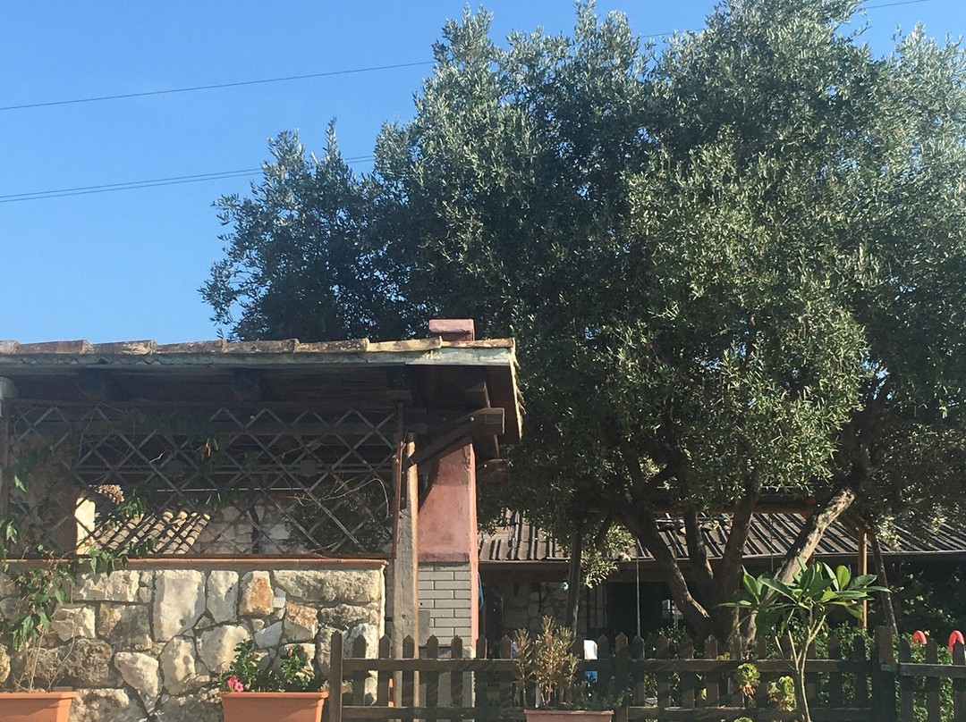 B&B Villa Giusy主图