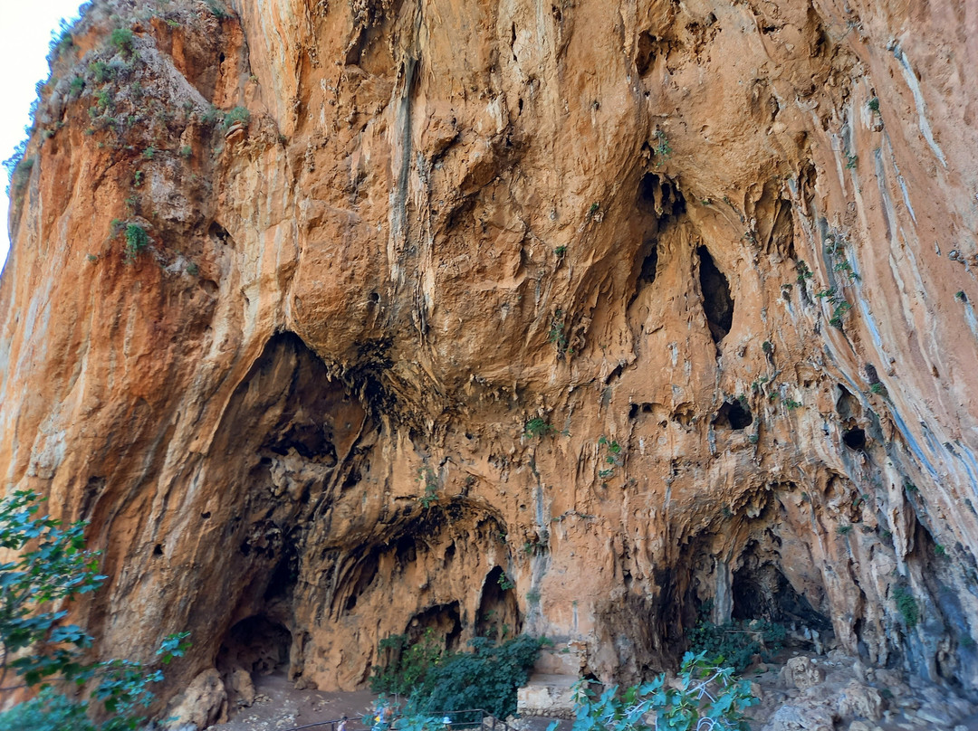 Grotta Dell'Uzzo景点图片