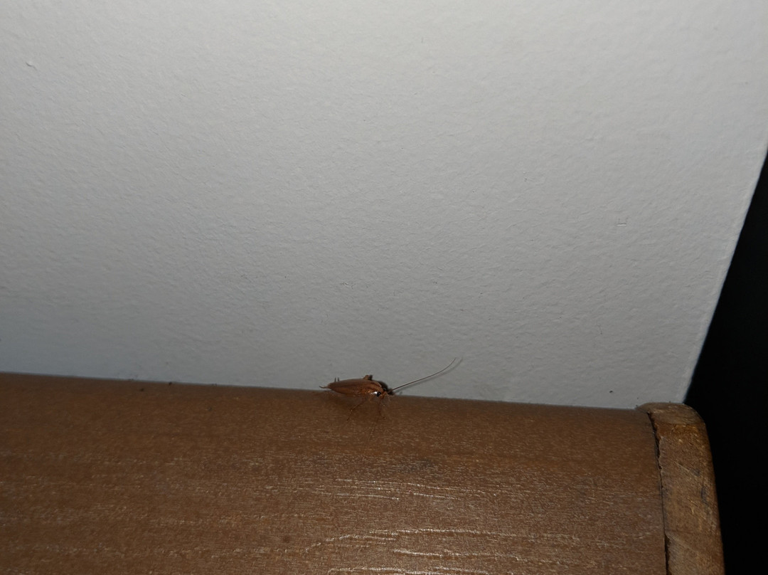 山泉汽车旅馆及房车公园主图