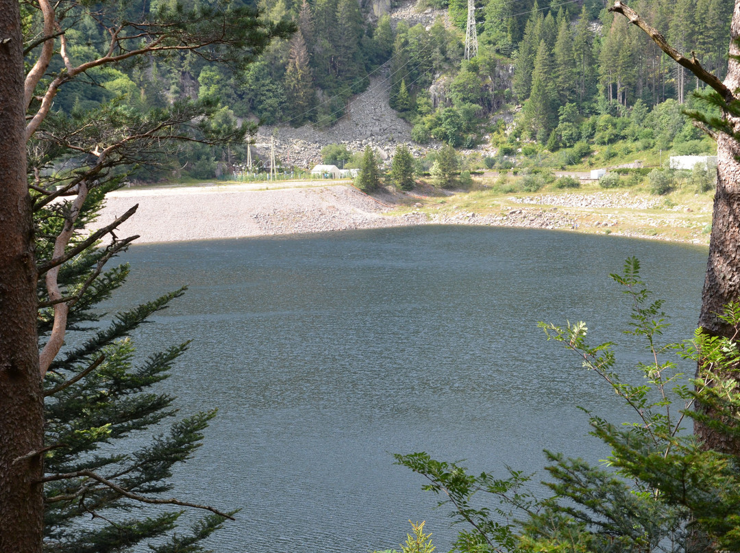 Lac Noir景点图片