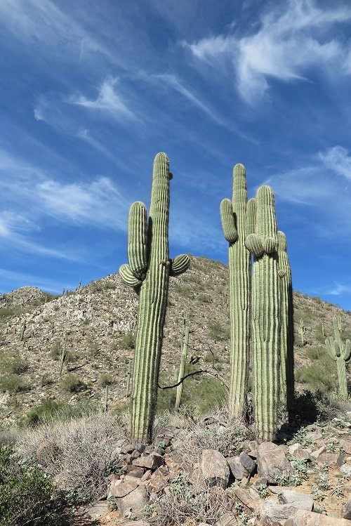 The Gateway Trailhead-斯科茨代尔必去景点