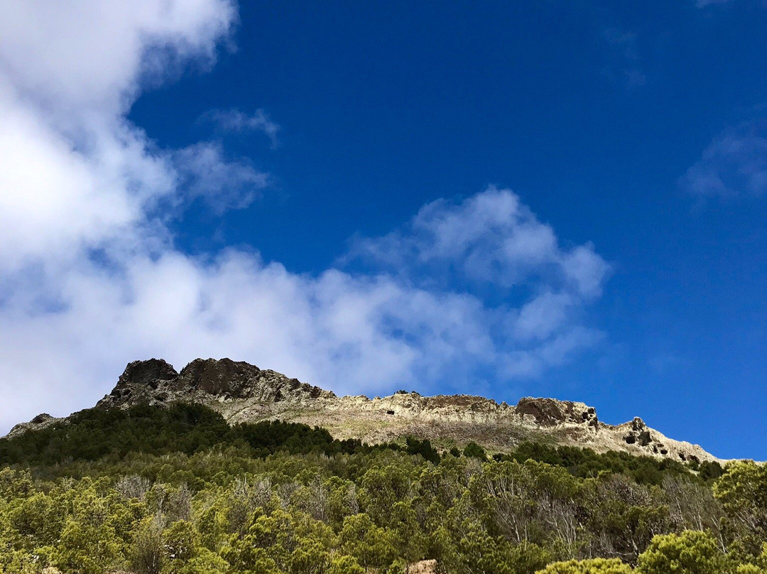 Centro Hípico do Porto Santo-Porto Santo Island必去景点