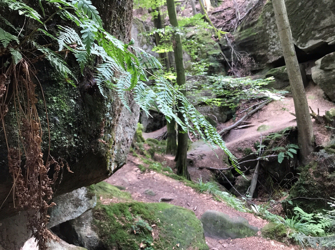 Rudersberg旅游攻略图片