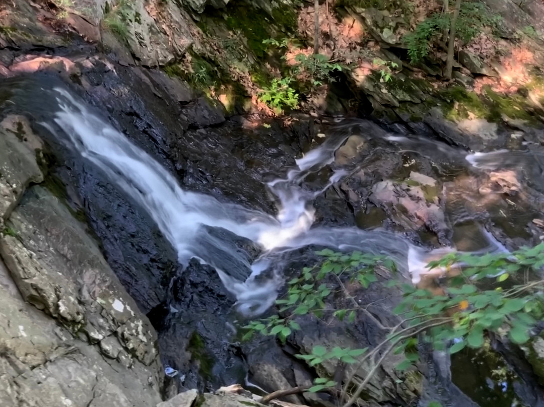 Jewel Falls景点图片