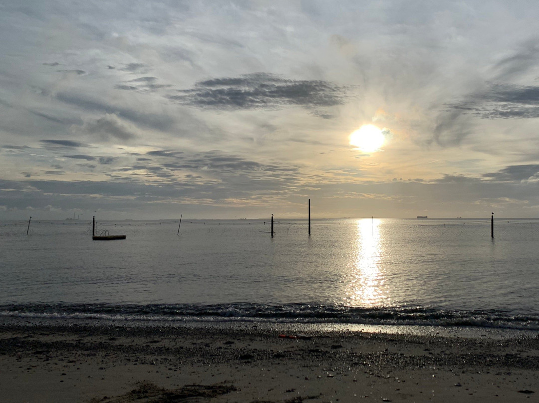 Shiraya Seaside Park-田原市必去景点