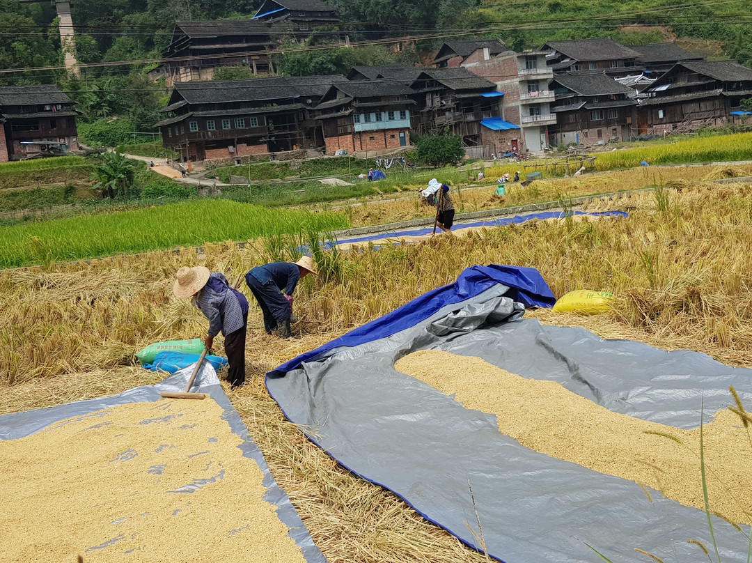 马胖鼓楼景点图片