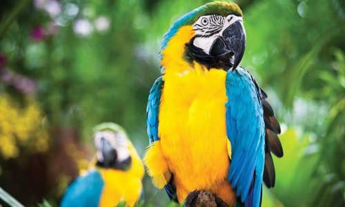 Yacumama Lodge & Excursions主图