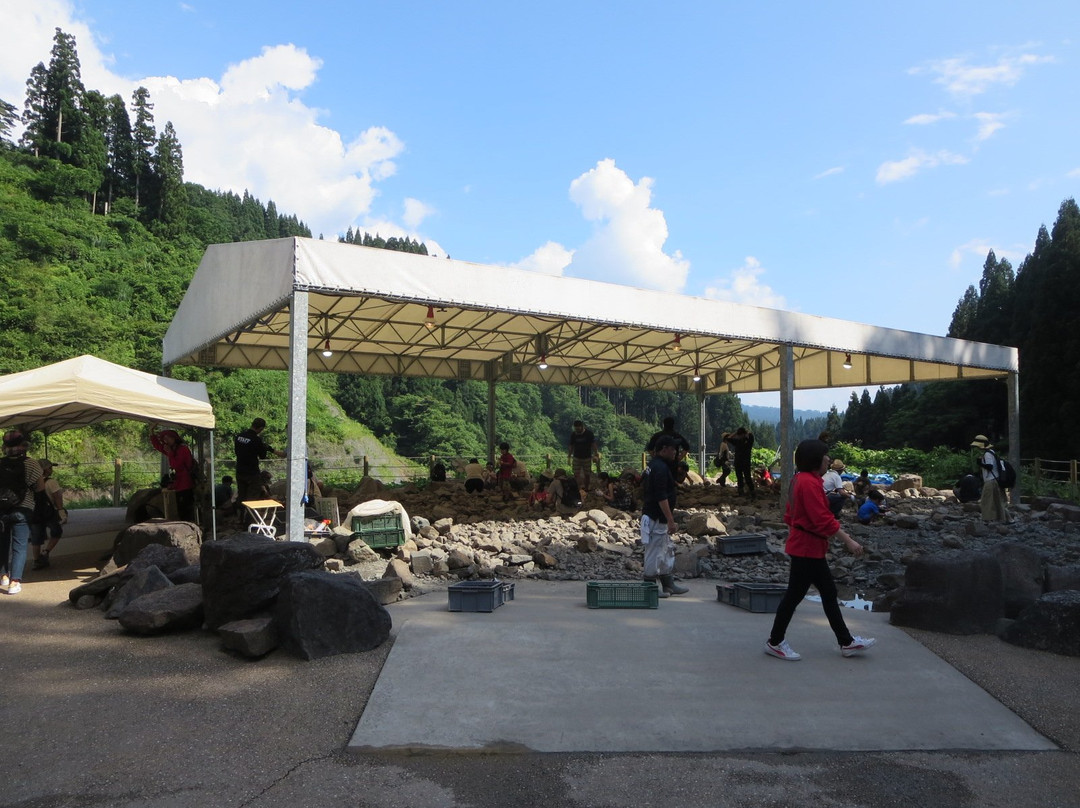 Fukui Prefectural Dinosaur Museum景点图片