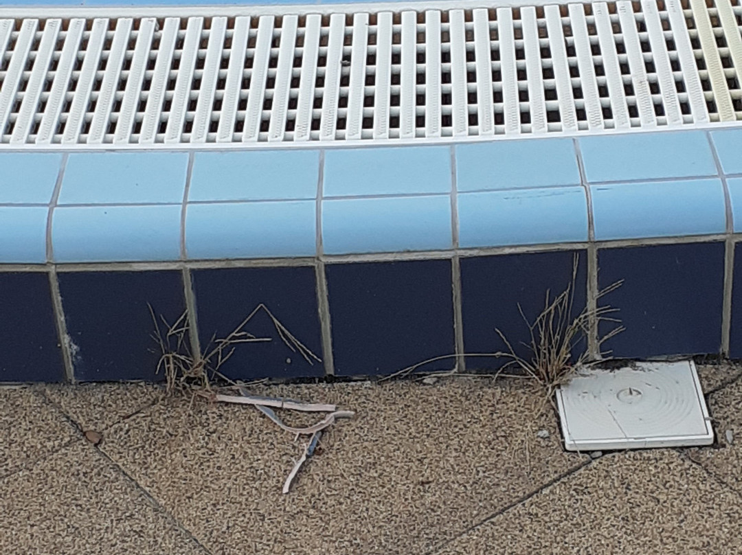 Aqua Spa Hotel Cserkeszolo主图