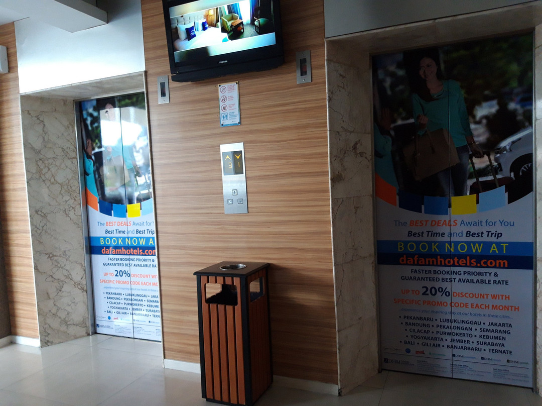 龙鱼大酒店主图