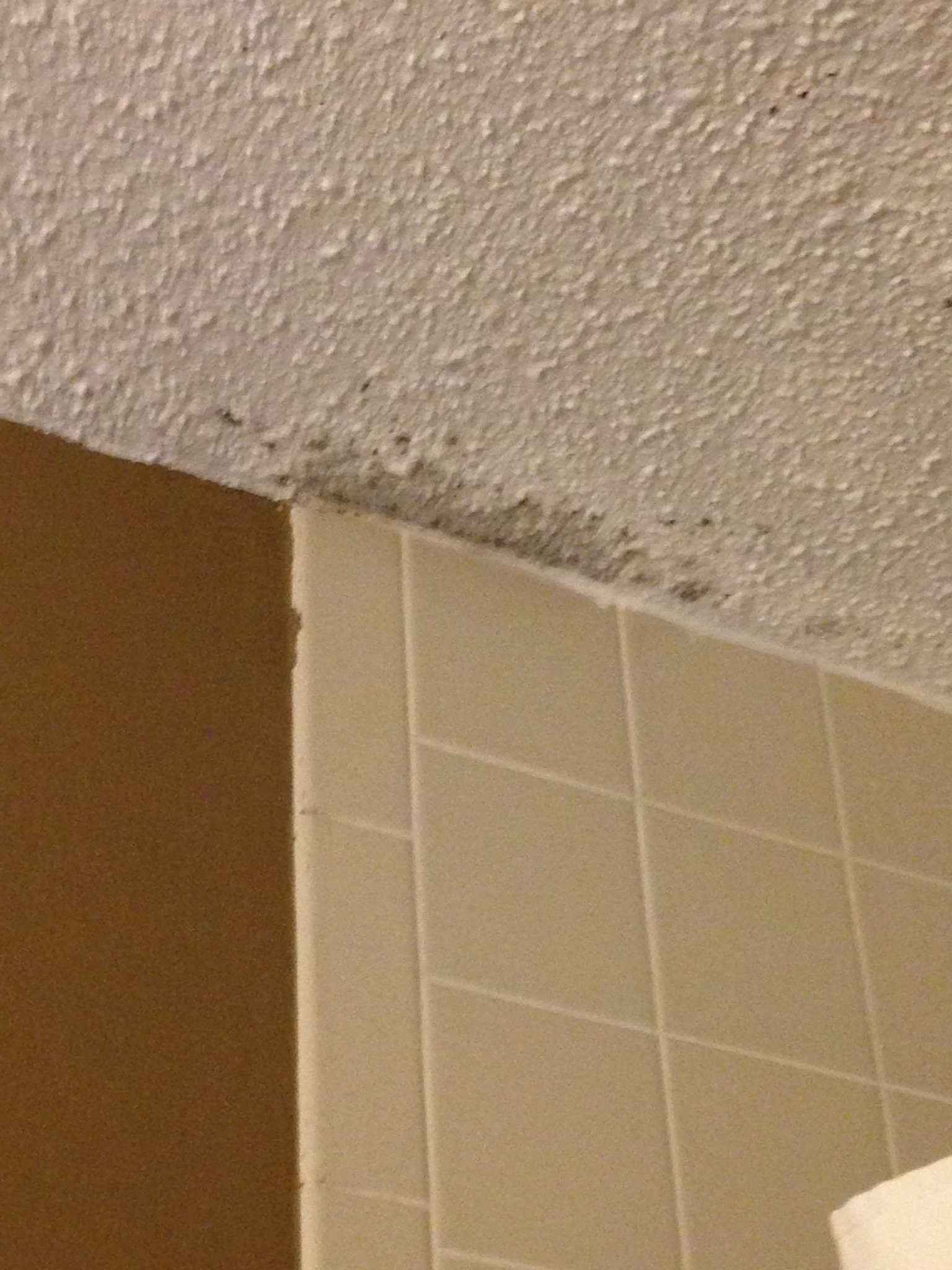 Quality Inn & Suites Escanaba-浴室