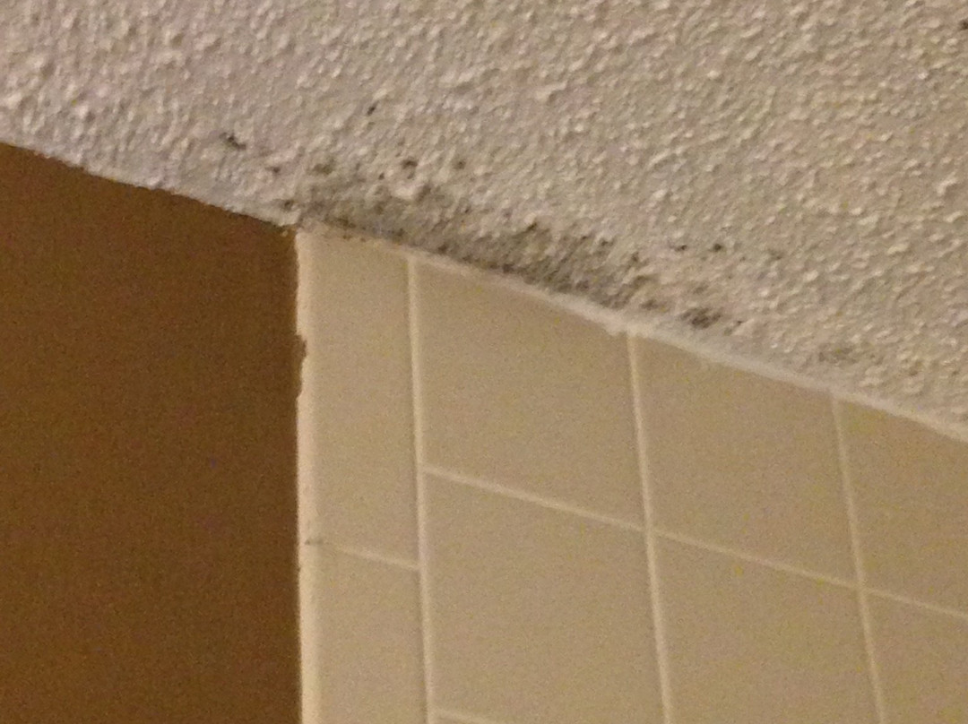 Quality Inn & Suites Escanaba主图