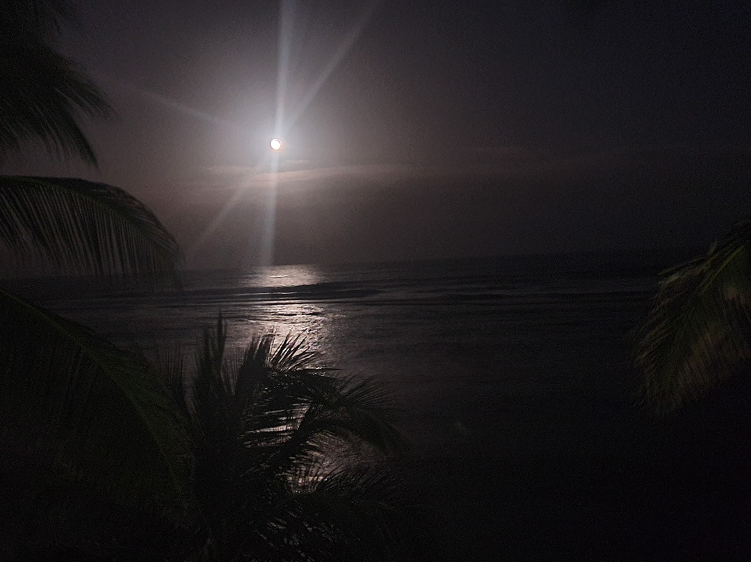 Sea Palm Villas主图