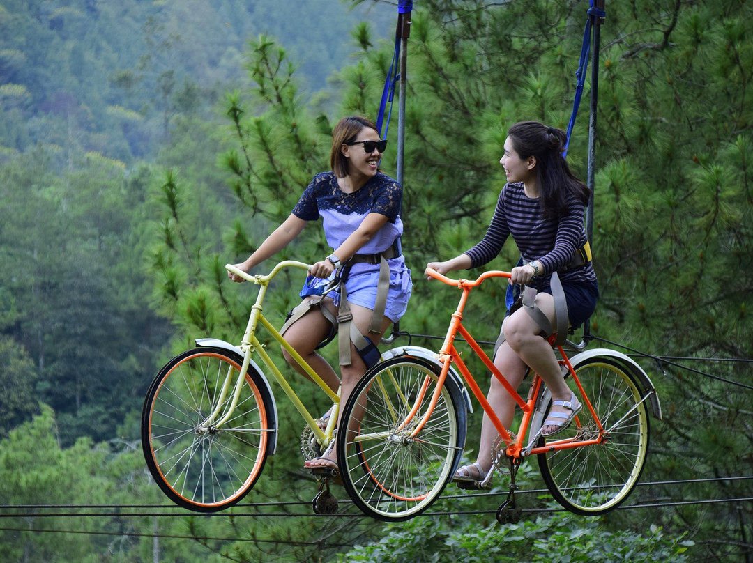 Salika Tour & Travel景点图片