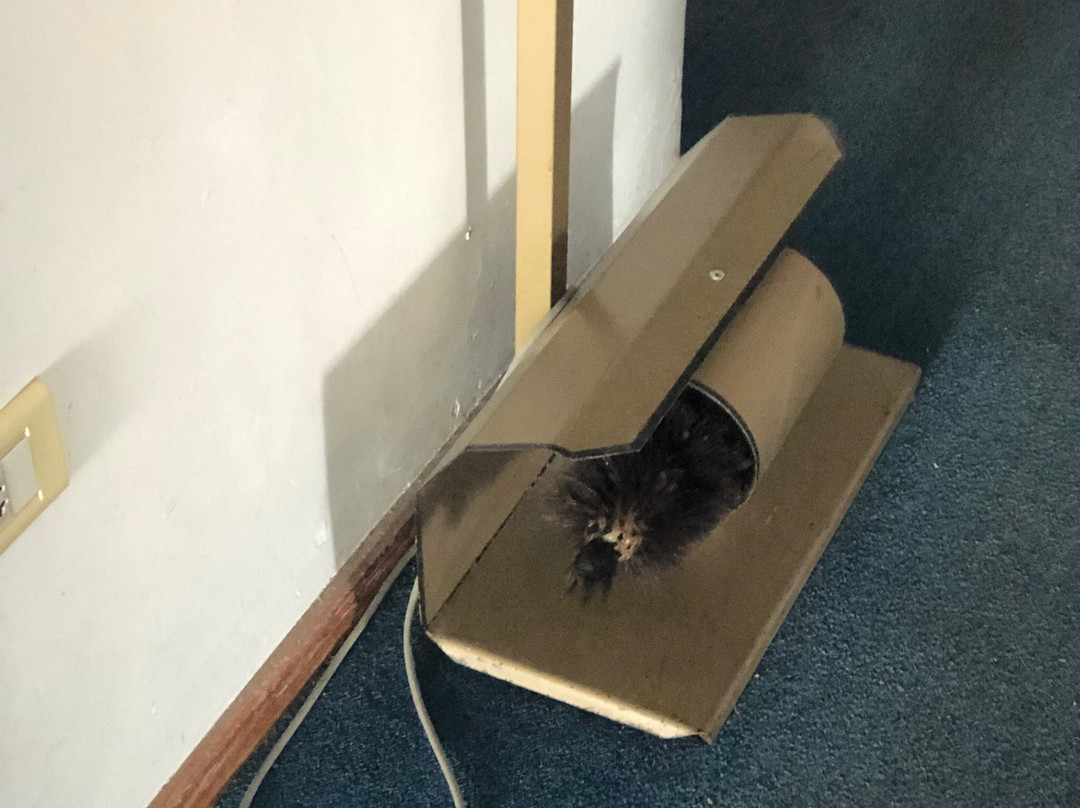 Hotel Los Nogales主图