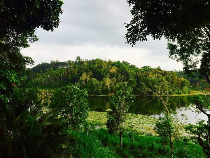 JJ Lake View Villas主图