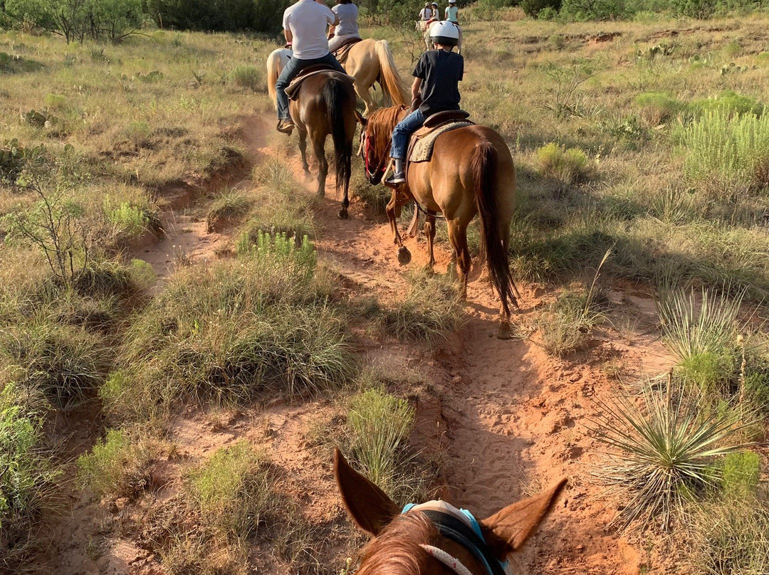 Old West Stables景点图片